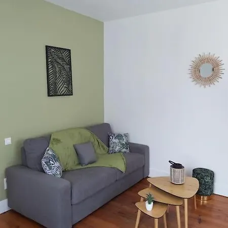 Le Jungle - Hyper Centre - Wifi Lourdes