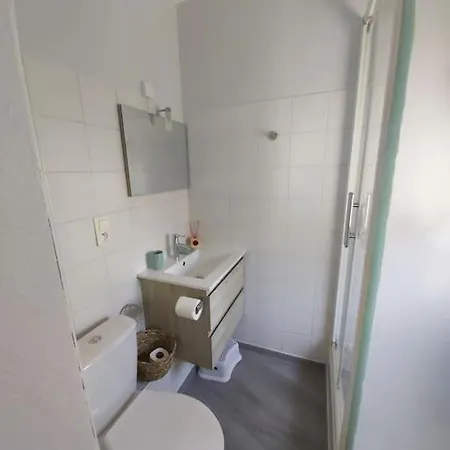 Apartamento Le Jungle - Hyper Centre - Wifi Lourdes