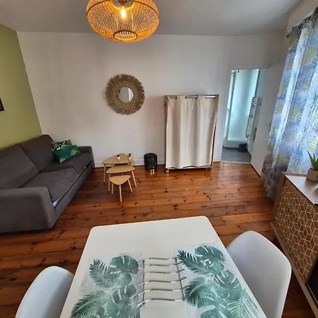 Apartamento Le Jungle - Hyper Centre - Wifi Lourdes