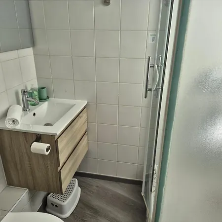 Apartamento Le Jungle - Hyper Centre - Wifi *