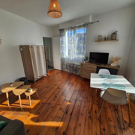 Apartamento Le Jungle - Hyper Centre - Wifi