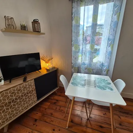 Le Jungle - Hyper Centre - Wifi Apartamento Lourdes