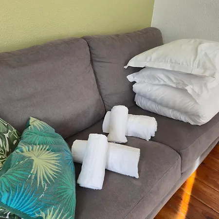 Le Jungle - Hyper Centre - Wifi Apartamento Lourdes