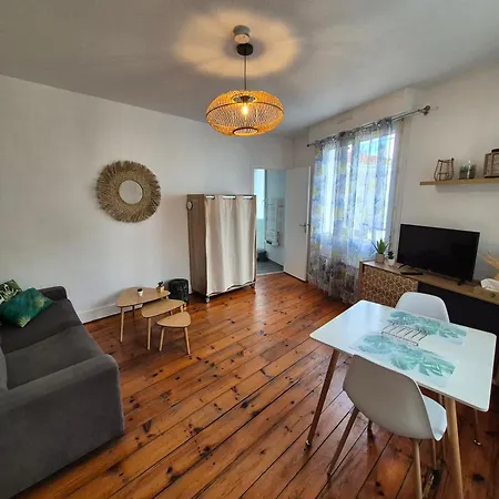 Le Jungle - Hyper Centre - Wifi Apartment *