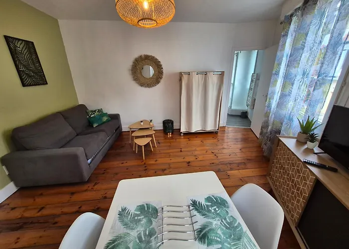 Apartment Le Jungle - Hyper Centre - Wifi Lourdes