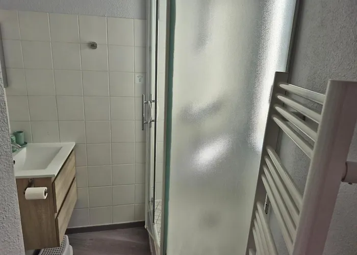 Apartment Le Jungle - Hyper Centre - Wifi