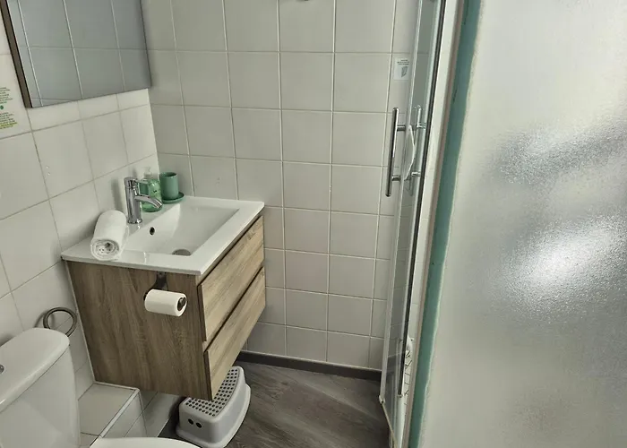 Apartment Le Jungle - Hyper Centre - Wifi *