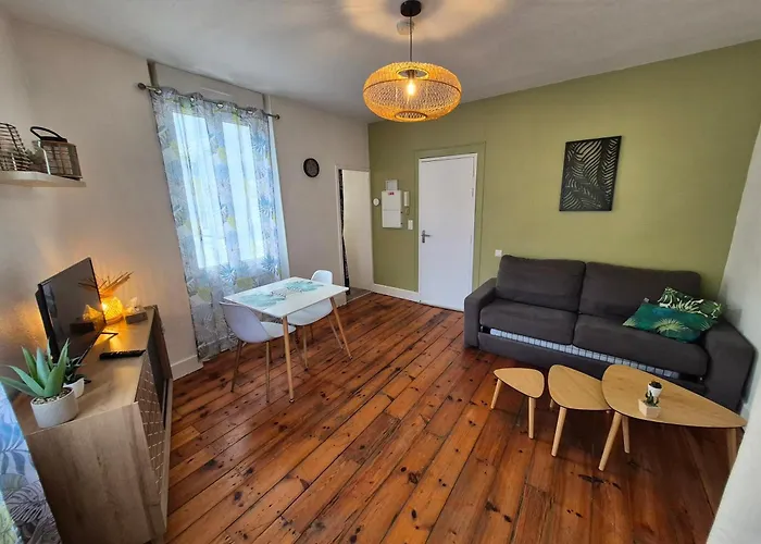 Apartment Le Jungle - Hyper Centre - Wifi Lourdes