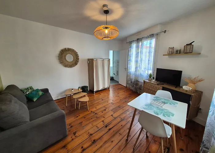 Le Jungle - Hyper Centre - Wifi Apartment *