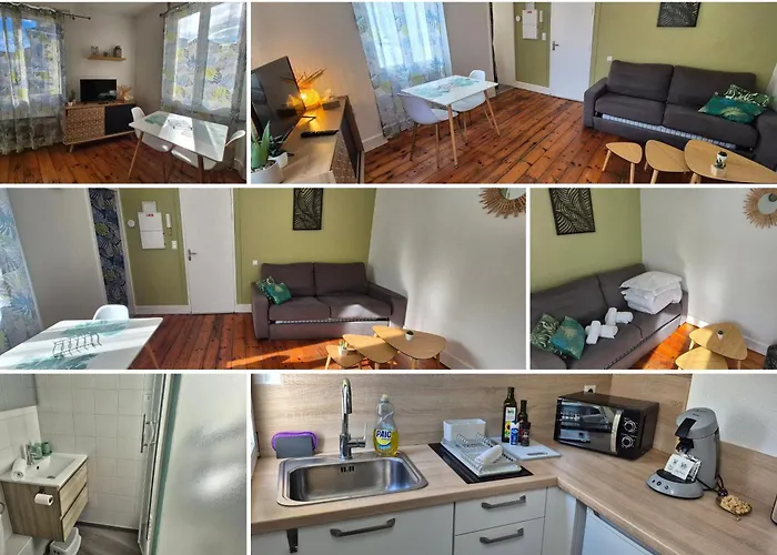 Apartment Le Jungle - Hyper Centre - Wifi *