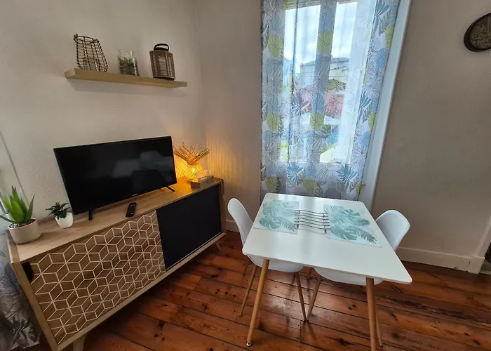 Le Jungle - Hyper Centre - Wifi Apartment Lourdes