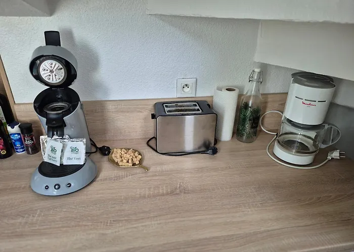 Le Jungle - Hyper Centre - Wifi Apartment Lourdes